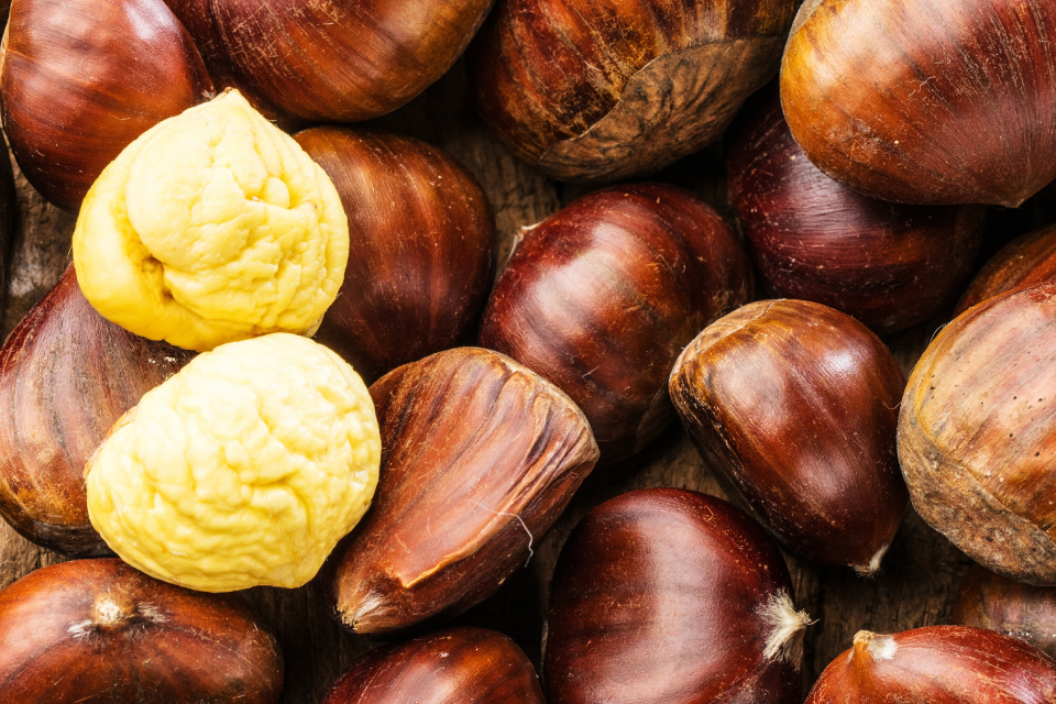 クリーミーマロン｜プリンタイム - PUDDING TIME